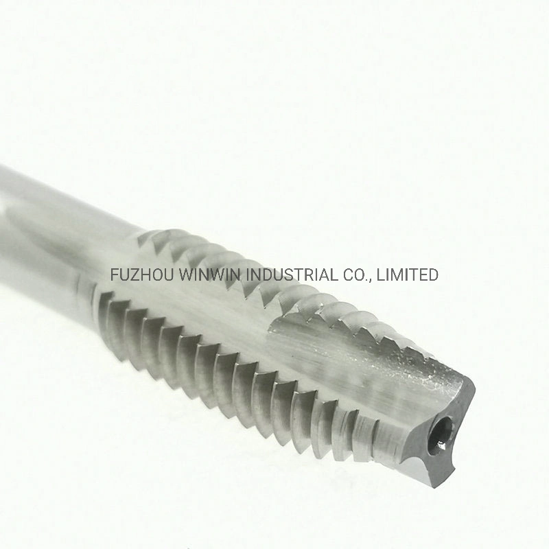 Hand HSS Machine Screw Tap Threading Tap (WW-ST01)