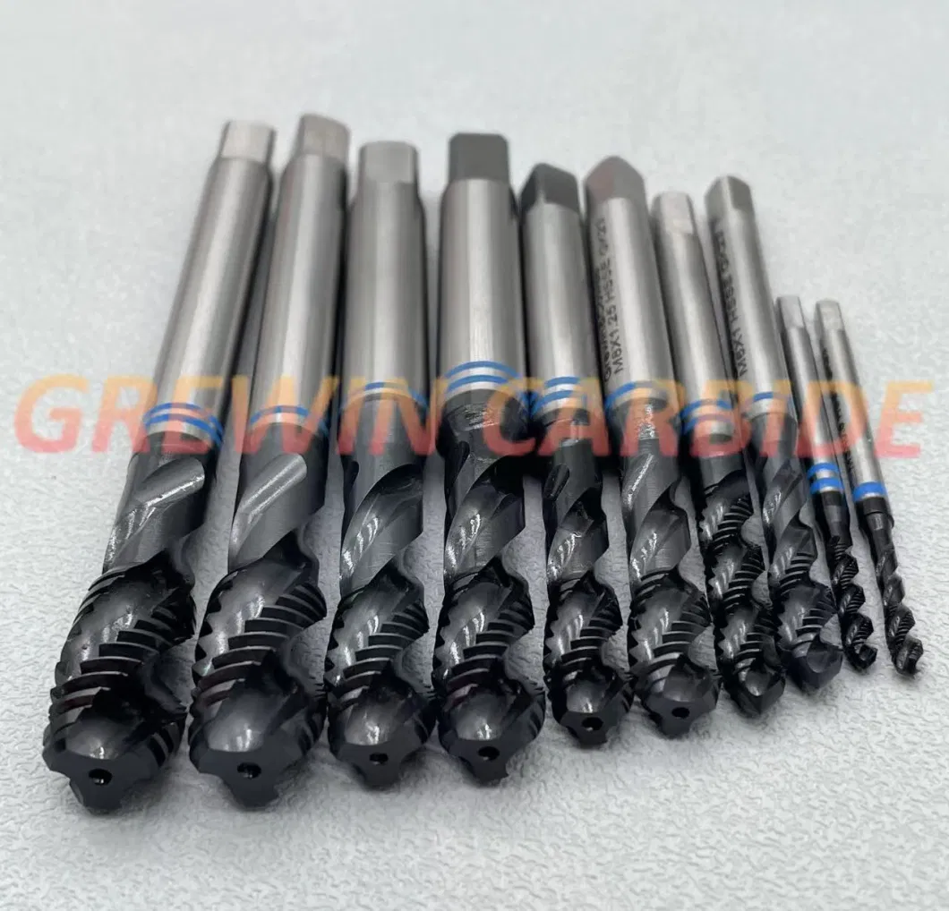 Gw-Wholesale Price DIN371/376 Hsse Sprial/Straight Flutes Thread Machine Taps for Drilling Hole