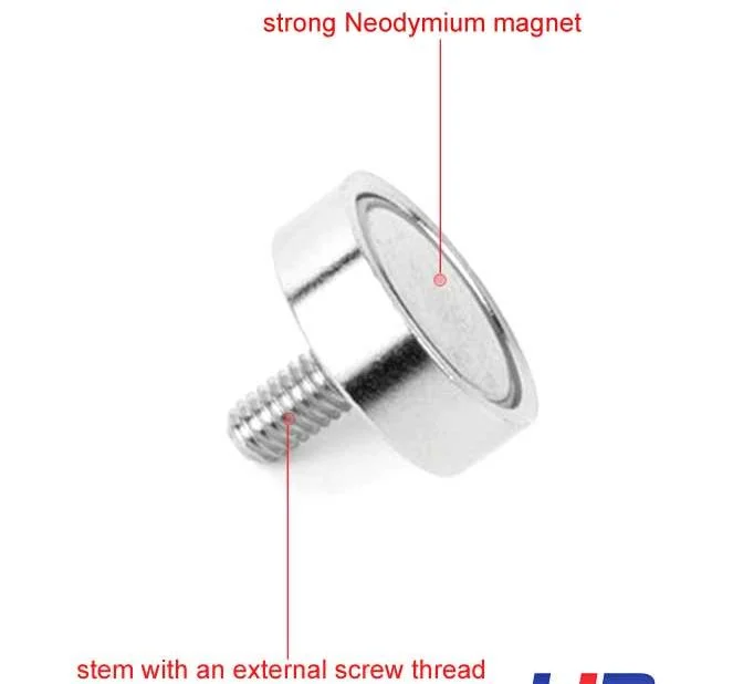 Permanent Magnetic Cup Shape Straight Countersunk Strong Pot Magnets