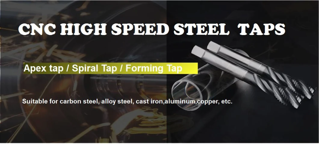 Find Quality OEM HSS Taps Forming Threading Taps for CNC Cutting