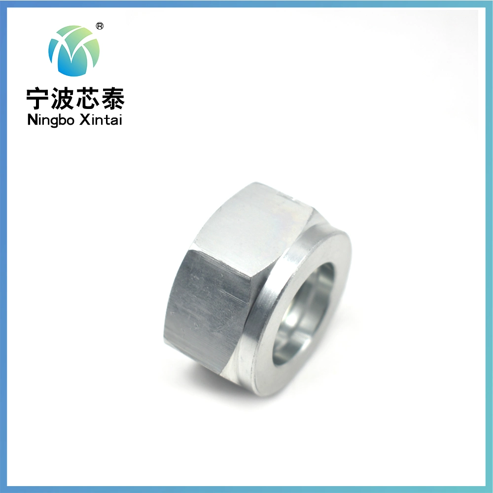 Good Quality 304 Stainless Steel Antirust Full Size Different Types Hexagons Hex Nut