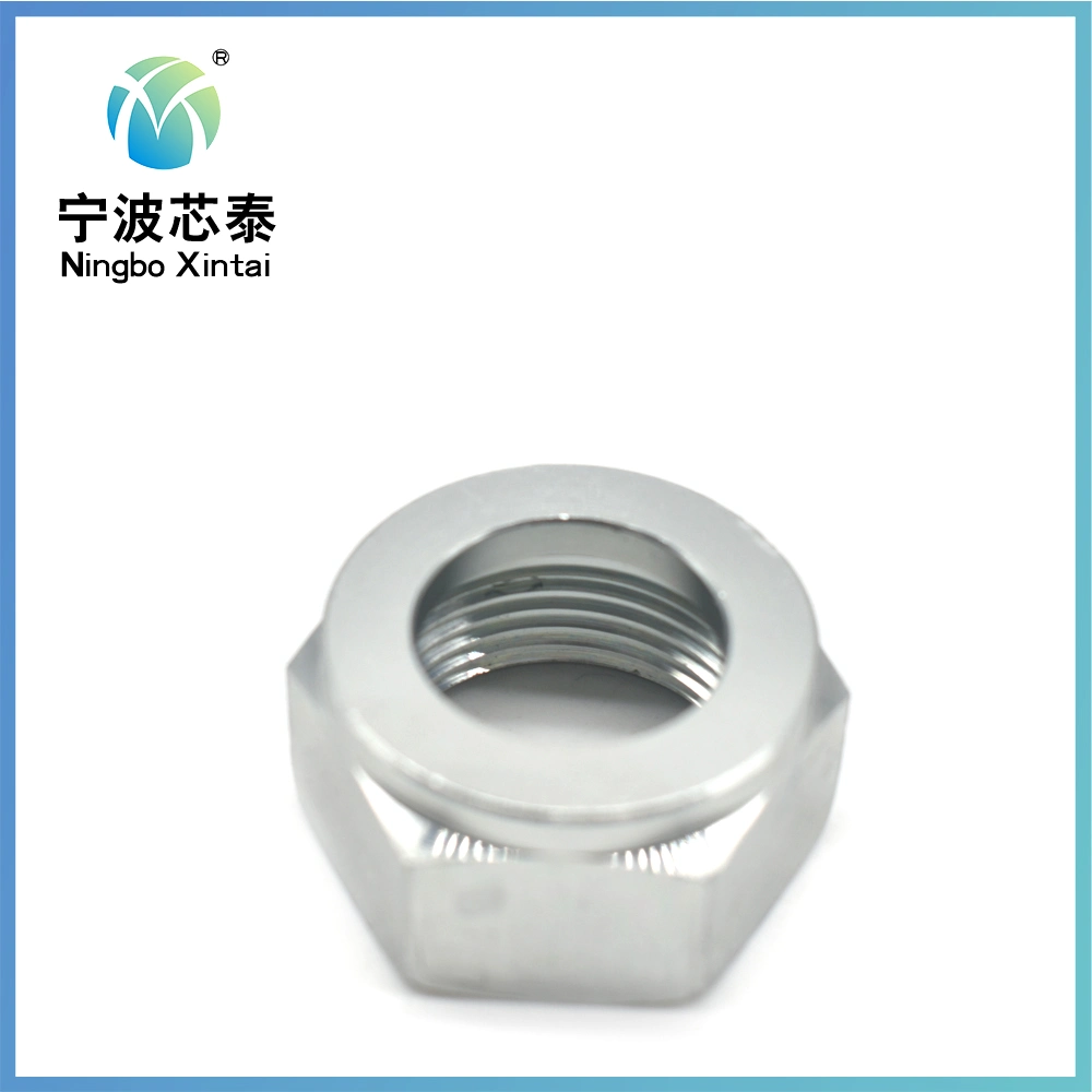 Good Quality 304 Stainless Steel Antirust Full Size Different Types Hexagons Hex Nut