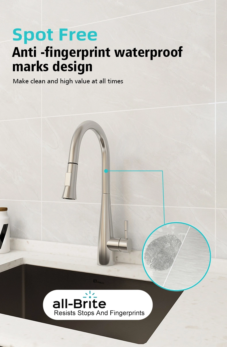 Luxury Modern Nordic Design High Quality 304 Stainless Steel Pull out Upc Big Size Kitchen Faucet