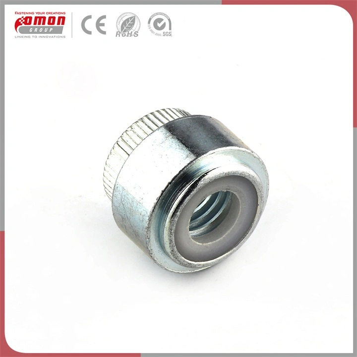 Customized Size M1.0~M12 Round Screws Insert Hex Steel Nut for Building