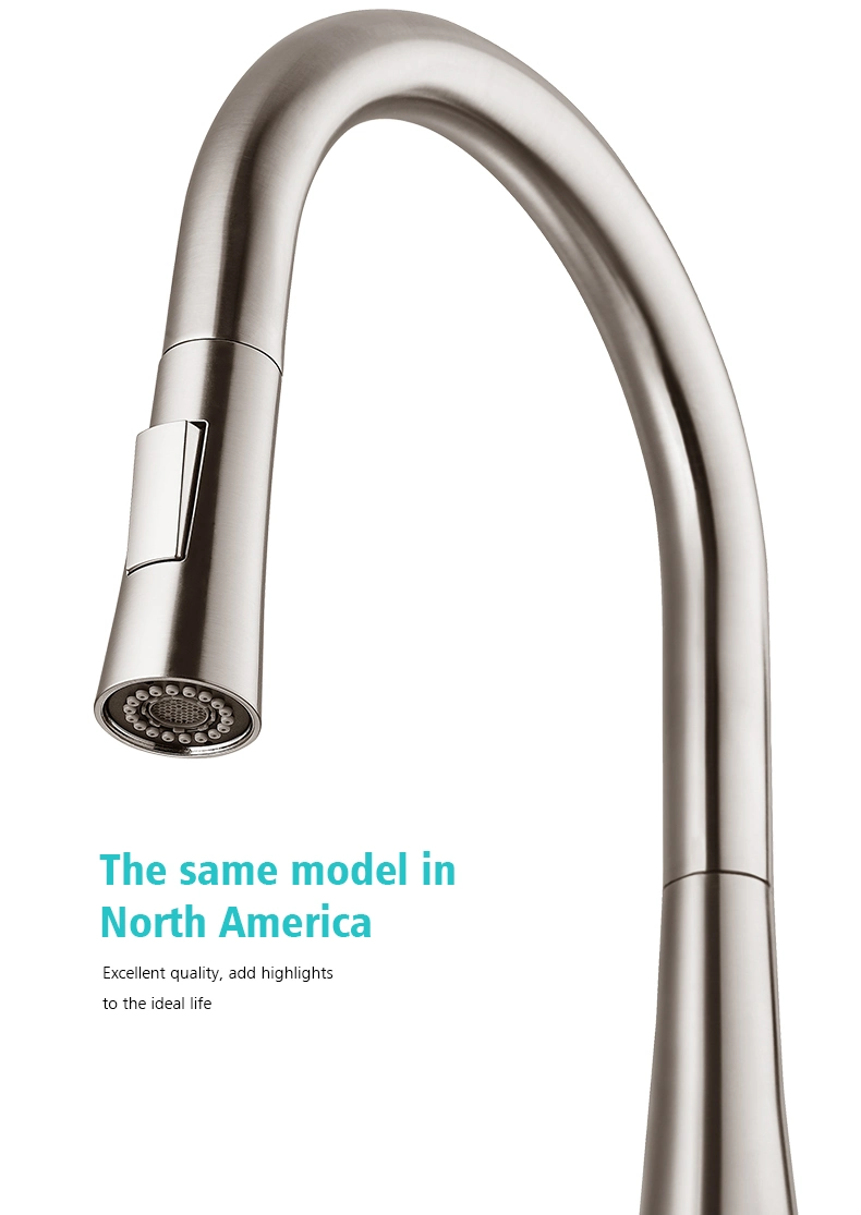 Luxury Modern Nordic Design High Quality 304 Stainless Steel Pull out Upc Big Size Kitchen Faucet