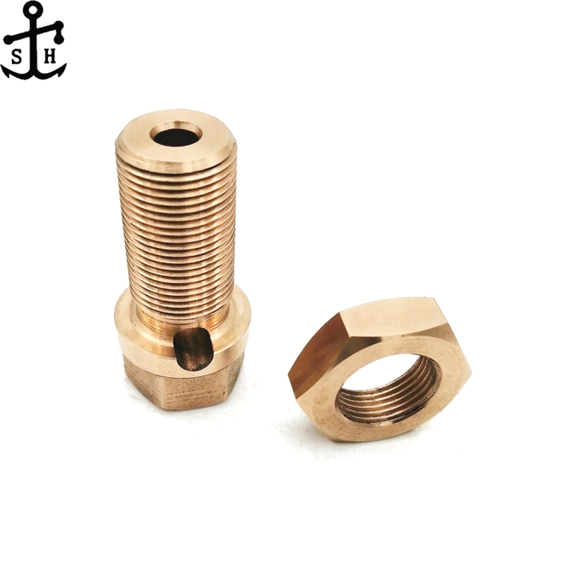 Custom Fastener Non Standard Special Style Bronze Hex Head Bolt and Nut Set Made in China