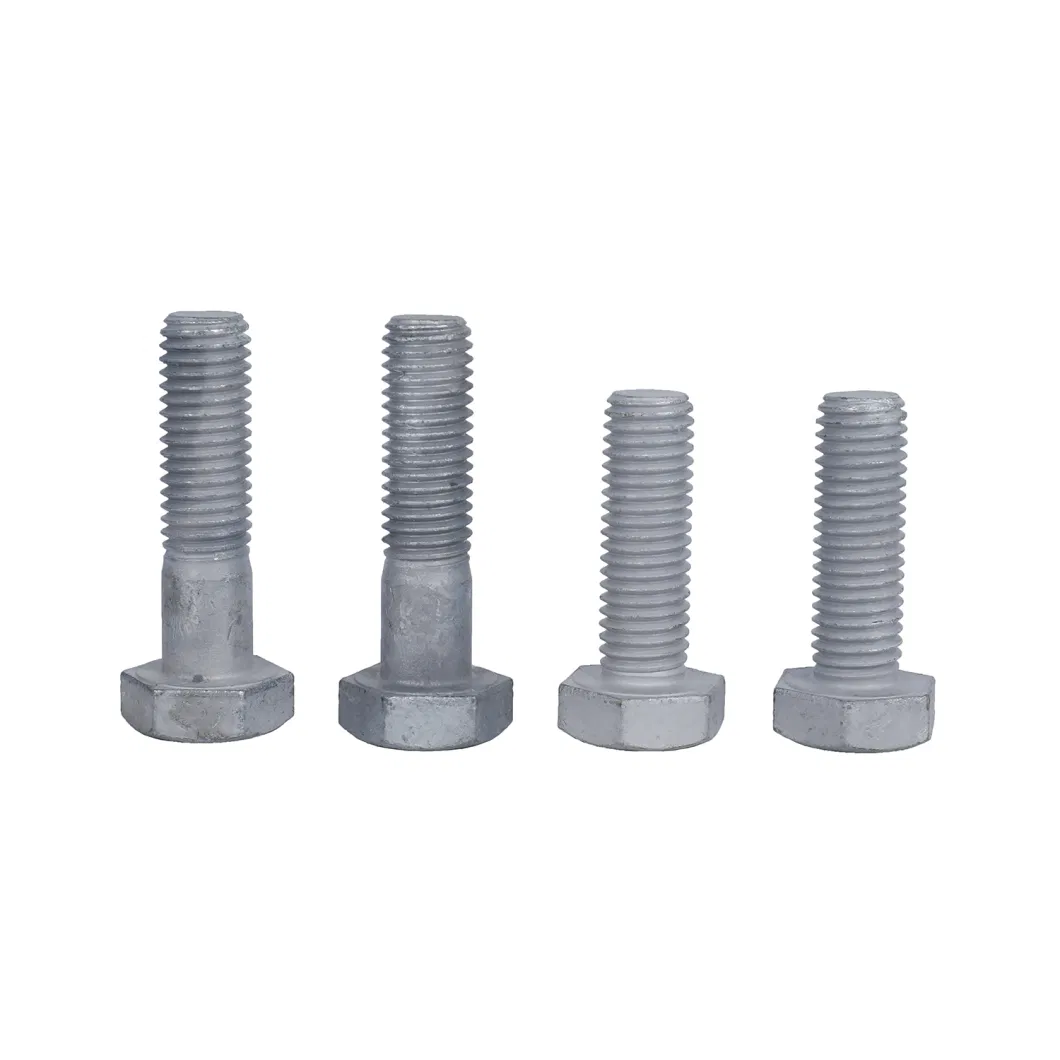 Manufacturer Nice Price 304L/316L Hex Bolt and Nut Sizes M12