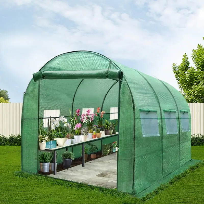 Cheap Outdoor and Indoor Mini OEM Poly Tunnel Garden Greenhouse Kit/ Home Flower Green House for Sale