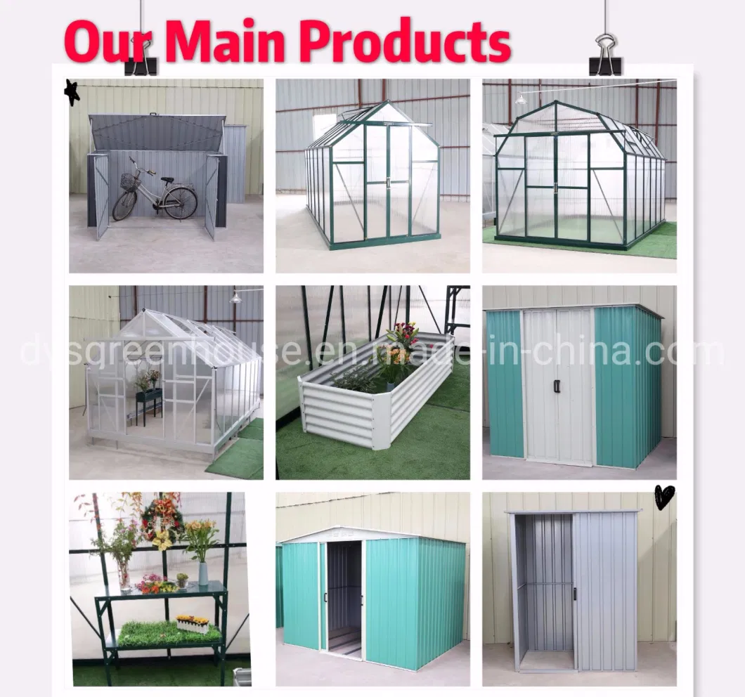 Outdoor Furniture Company Dongyisheng Making DIY Green House (RDGA0808-6mm)