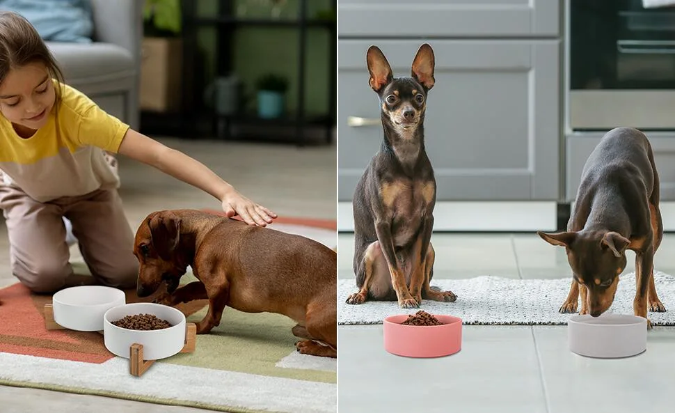 Cat Bowl Puppy Ceramic Food and Water Bowls with Wood Stand