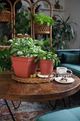 Eclipse Round Planter Saucer Flores interiores al aire libre Verduras Hierbas Fresa Bote de planta