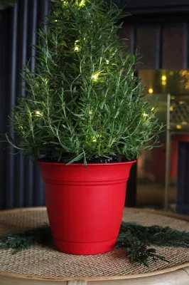 Eclipse Round Planter Saucer Flores interiores al aire libre Verduras Hierbas Fresa Bote de planta