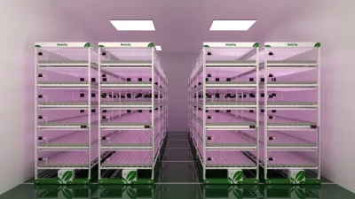  Sistemas hidropónicos verticales comerciales Jardín vertical Interior Hydroponics Torre creciendo Sistema Aeropaico sistema Vertiaero Farms