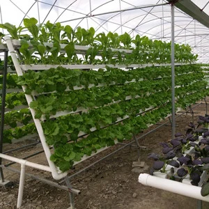 Personalizable y profesionales de agricultura hidropónica Vertical de los sistemas de cultivo hidropónico
