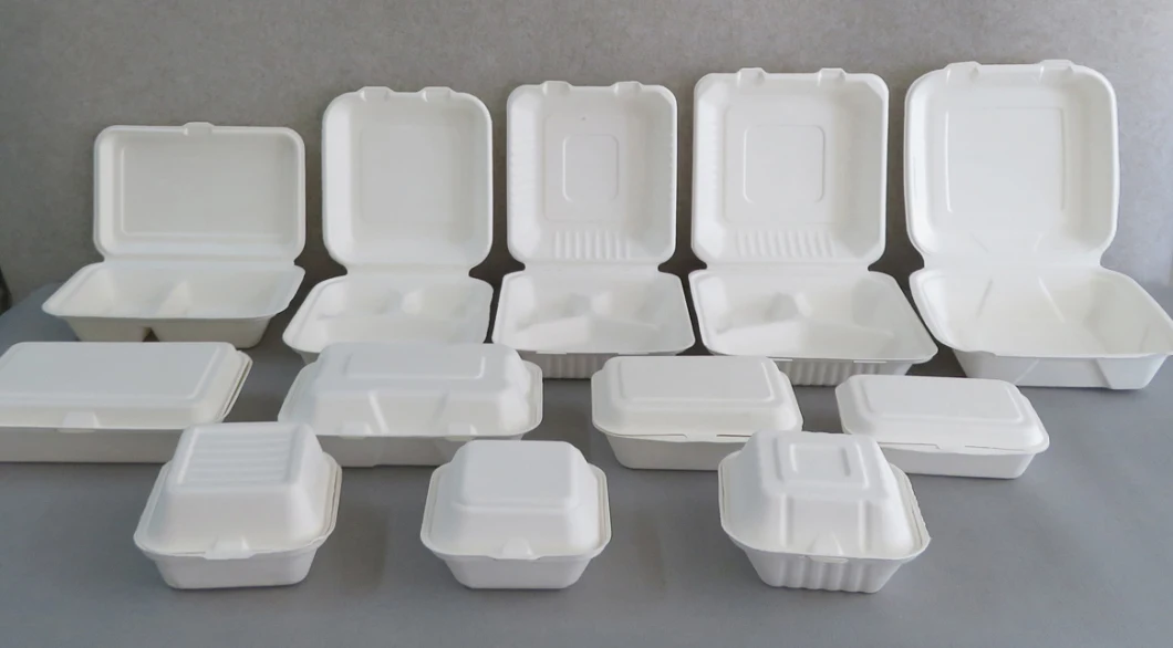 Burger Box Free Eco Friendly Disposable 6 X 6 Inch Sugarcane Bagasse Burger Box Disposable Food Container Made in China