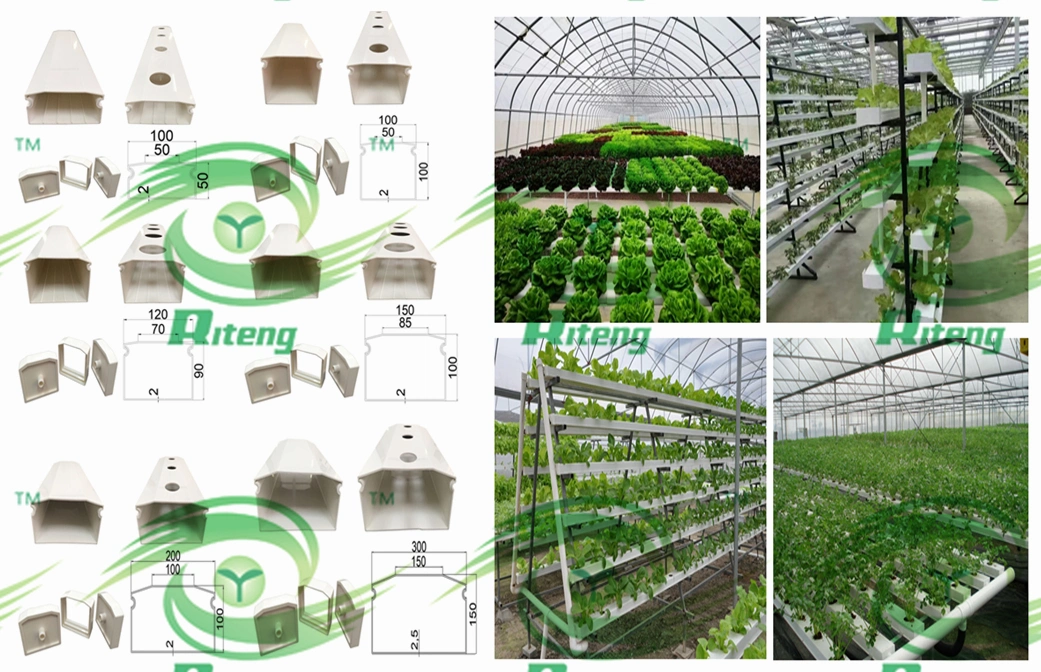 Agriculture Greenhouse Vegetable Plant Tray Flower Seeding Tray Crop Seed Trayfor Soilless Cultivation and Hydroponic Systems and for Greenhouse.