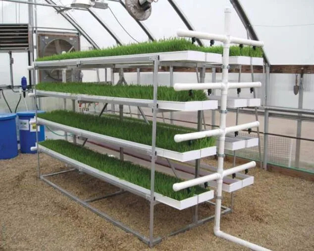 Automatic Irrigation Hydroponic Grow Barley Grass Cultivation Fodder Tray System PVC Gutter