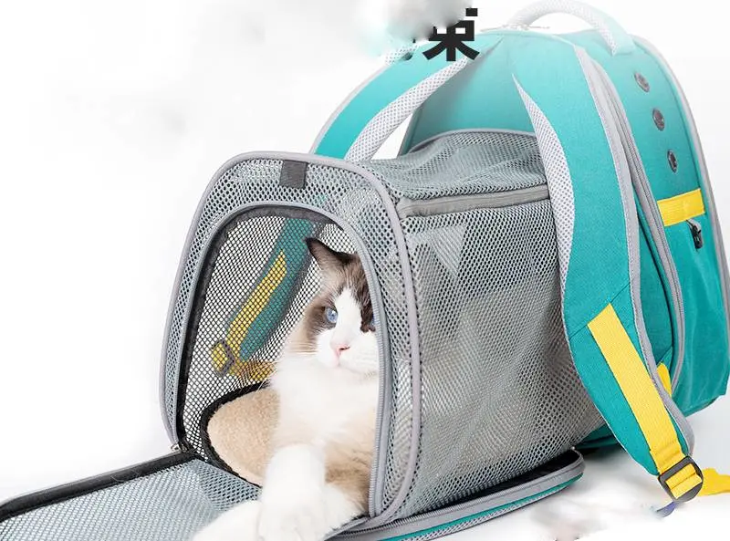 Wholesale Pet Carrier Portable Collapsible Cat Bag Outdoor Travel Pet Carrier Backpack