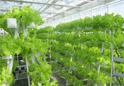 Gullies Cultivation Planting Nft Growing Systems Channel Hydroponic Gutter System