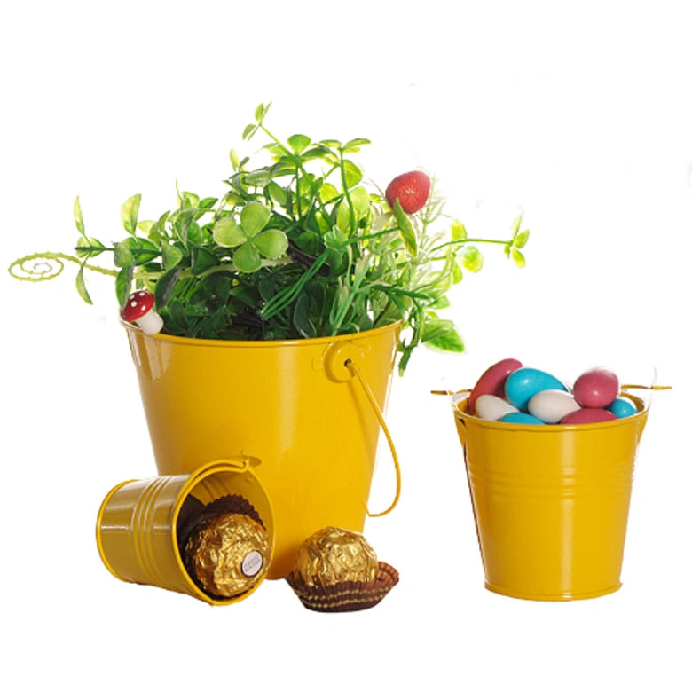 Small Metal Buckets, Colored Galvanized Tinplate Tin Pails with Handles for Garden Container