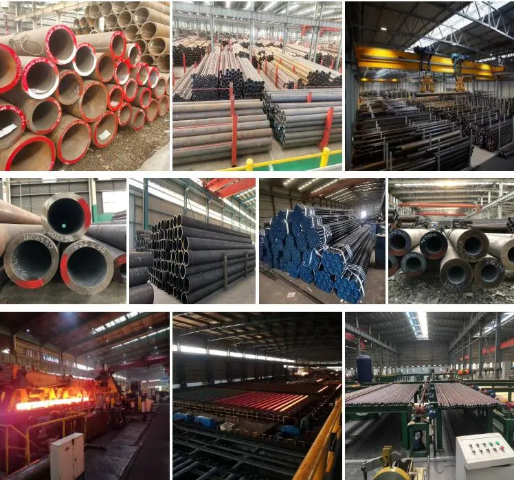 Seamless Alloy Steel Tube Pipe SA213 T11 T12 T22 for Superheater