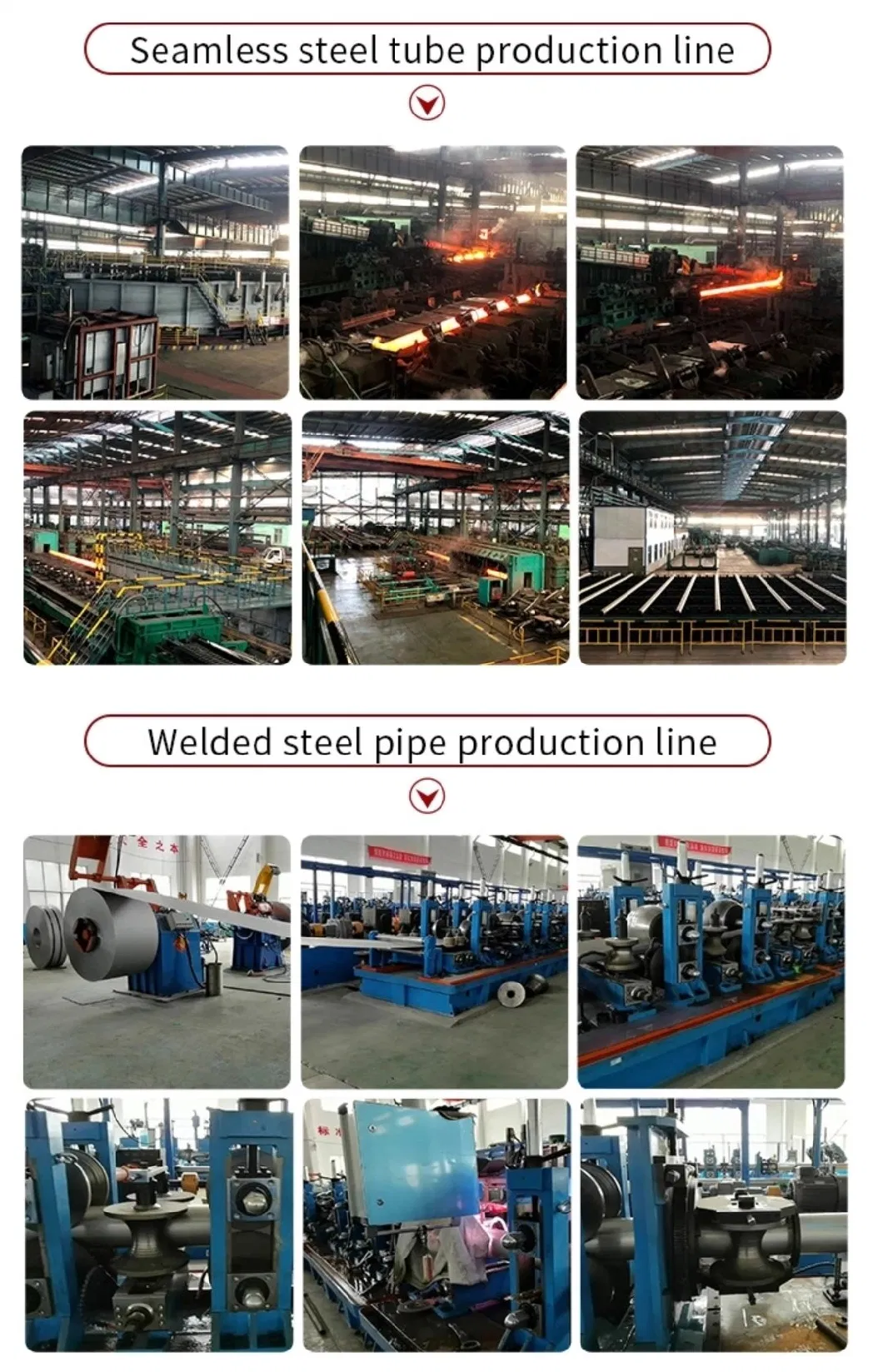 ASME SA335m P5b Seamless and Welded Steel and Alloy Steel Pipe at Low Temperature