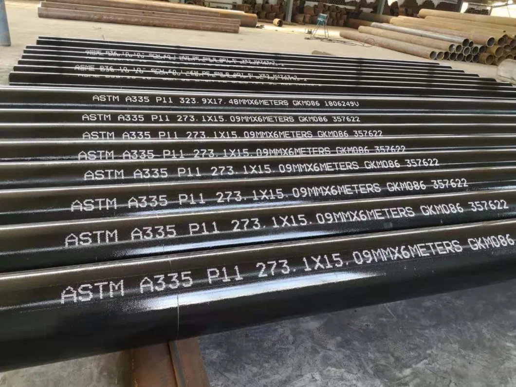 Seamless Alloy Steel DIN17175-79 13crmo44 Pipe