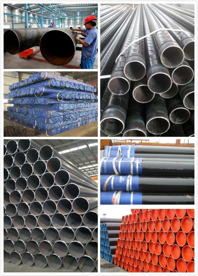 ASTM A335 P12 DIN 17175 St45.8 Large Diameter Seamless Low Temperature Resistant Alloy Thin-Walled Steel Pipe