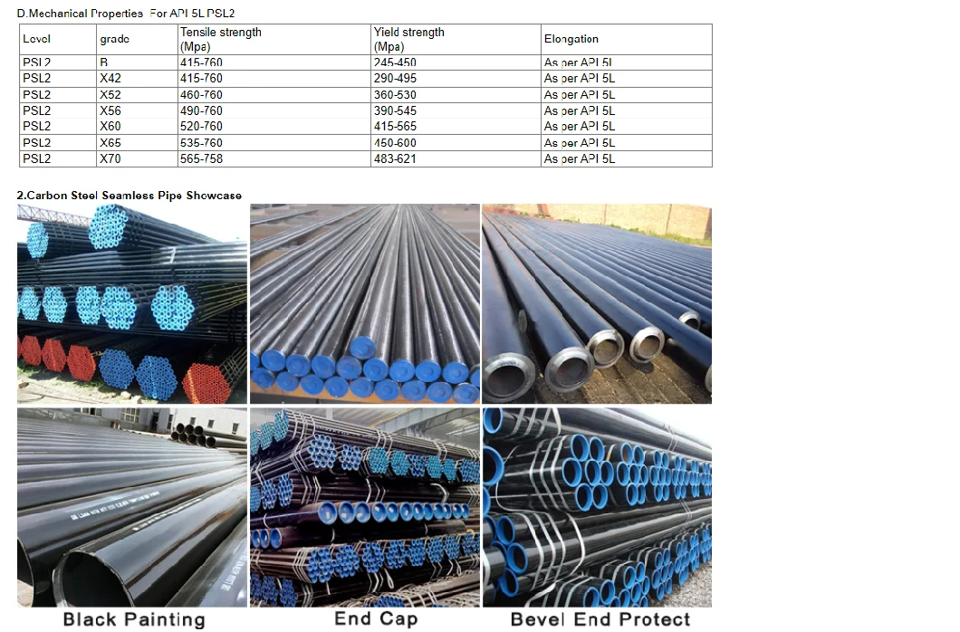 A179/A192/St35.8 /St37 /A335 P11/P12/P9/P5 Seamless Alloy Steel Pipe