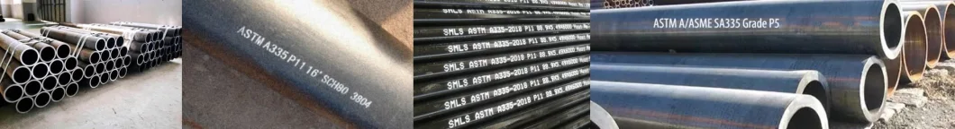 Hot Rolled 6 Inch ASTM A335 P5 P11 P22 P91 Alloy Seamless Steel Tube for Boiler