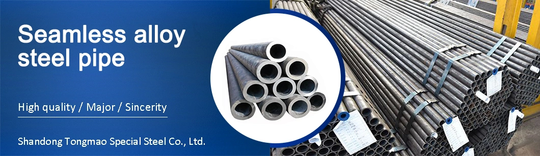 En31 SAE52100 Suj2 Gcr15 Alloy Bearing Steel Seamless Steel Pipe