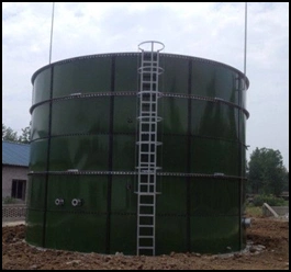 Food Waste Treatment Cstr Biogas Anaerobic Reactor/Digester/Fermenter/Producer Plant