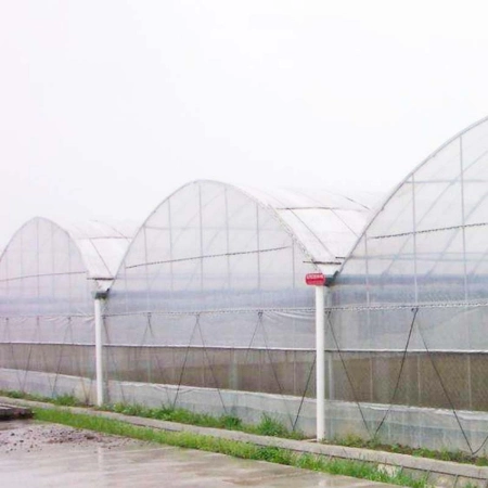 Greenhouse Control Environment Plants Grow