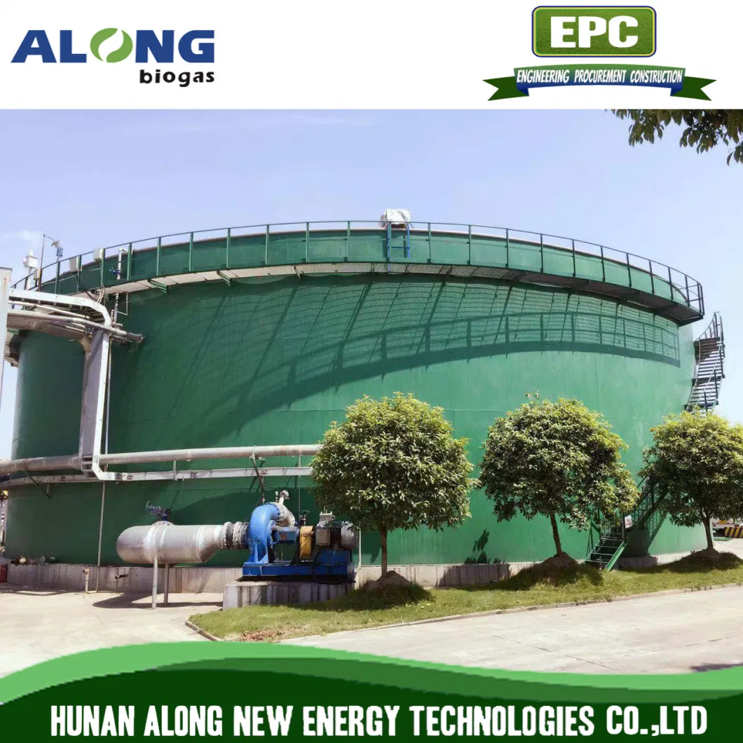 Cstr Reactor Biogas Anaerobic Digester/Fermenter/Producer Power Plant