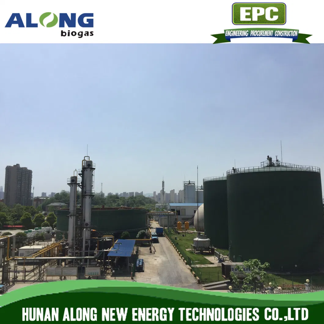 Cstr Reactor Biogas Anaerobic Digester/Fermenter/Producer Power Plant