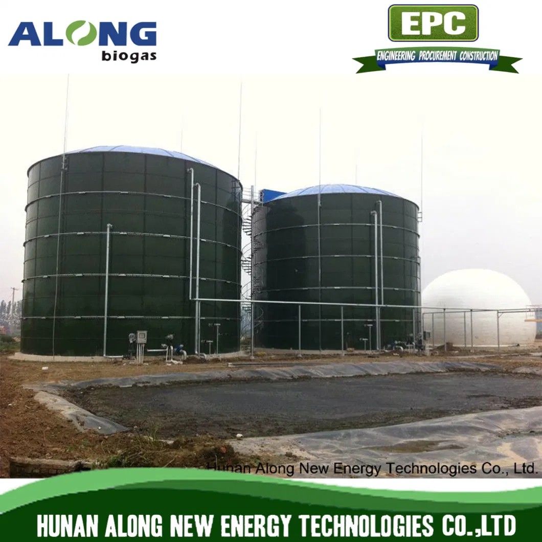 Cstr Reactor Biogas Anaerobic Digester/Fermenter/Producer Power Plant