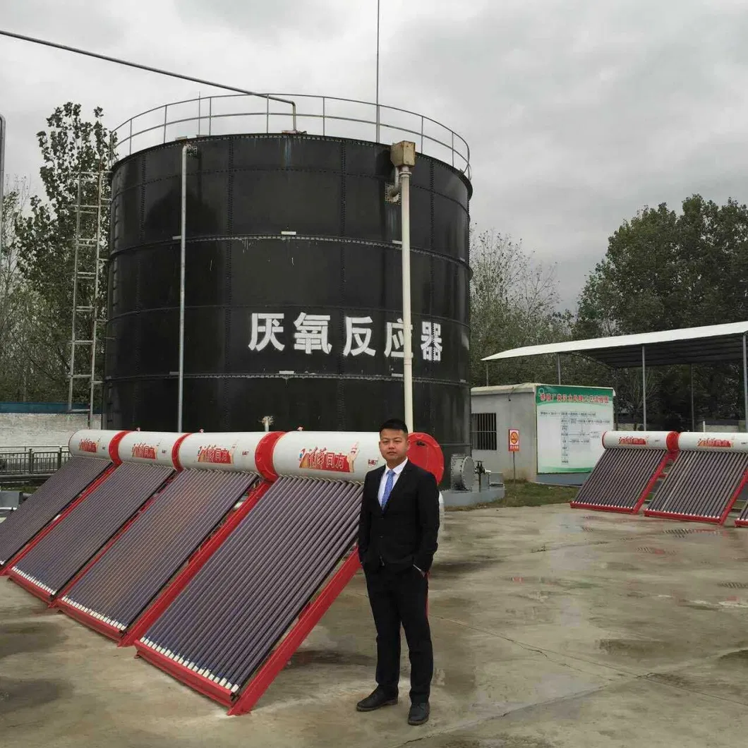 Food Waste Treatment Cstr Biogas Anaerobic Reactor/Digester/Fermenter/Producer Plant