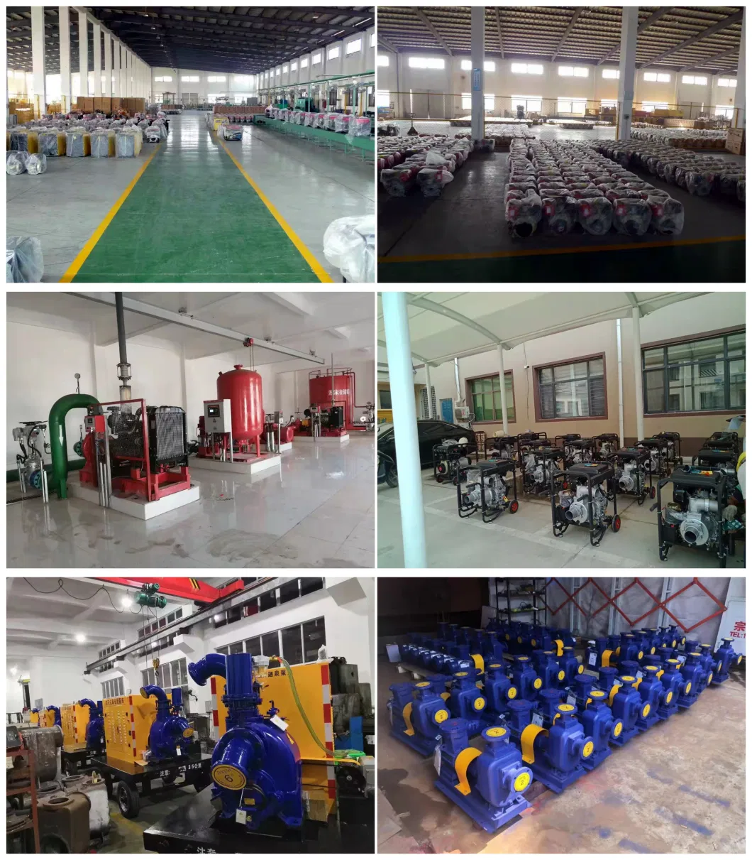 Waste Water Treatment Centrifugal Chemical Pump Self-Priming Sewage Pump for Chemical Industry Strong Acids Corrode Liquids