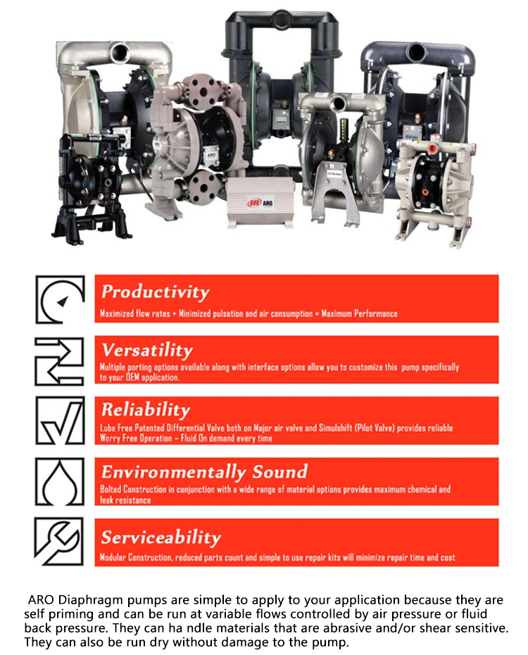 Aro PVDF Anti-Corrossion Pneumatic Acid Chemical Diaphragm Pump