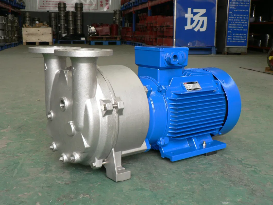 2be Water Ring Vacuum Pump for Chemical, Chemical Fertilizer, Paper and Pharmaceutical Industry From China