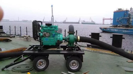 Industrial Usage Family Usful Water Pump