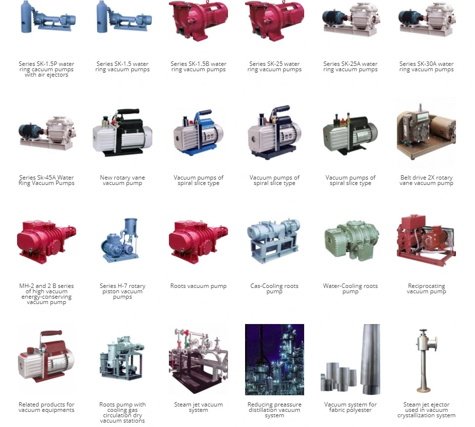 Gas-Cooling Roots Pump Portable Rotary Industrial Mini Vane Diaphragm Best Suppliers Centrifugal Best Suppliers All-Gas-Cooled Vacuum System DC AC Vacuum Pumps