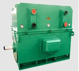 Chemical Pump High -Voltage Explosion -Proof Motor/Paper Factory High -Voltage Motor