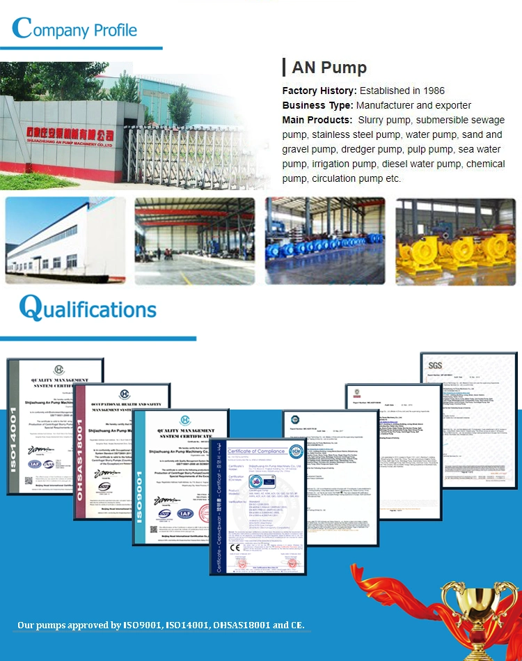 Motor Driven Acid Resistant Submersible Slurry Pump Vertical Type