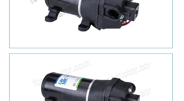 Lifesrc DC/AC Mini. Diaphragm Pump (FL30-43)