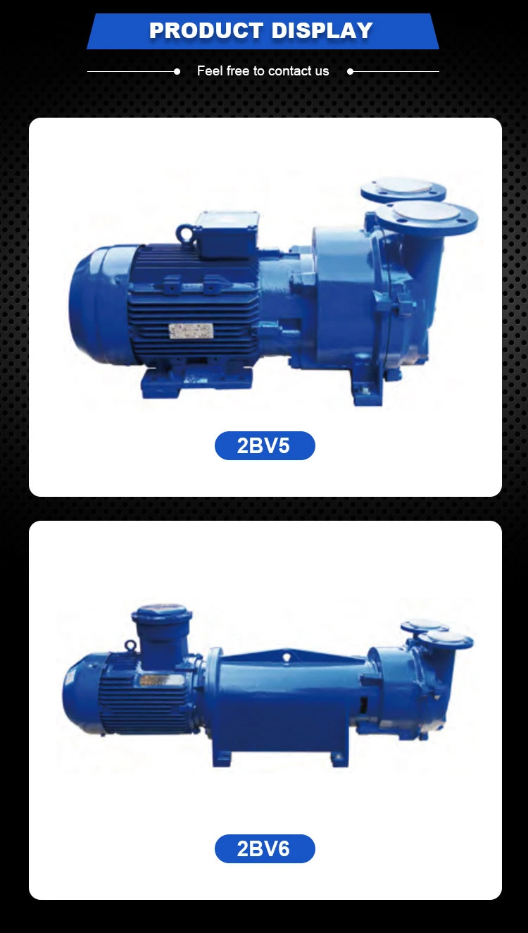 2BV Water Circulating Liquid Ring Vacuum Pump with Ex Motor