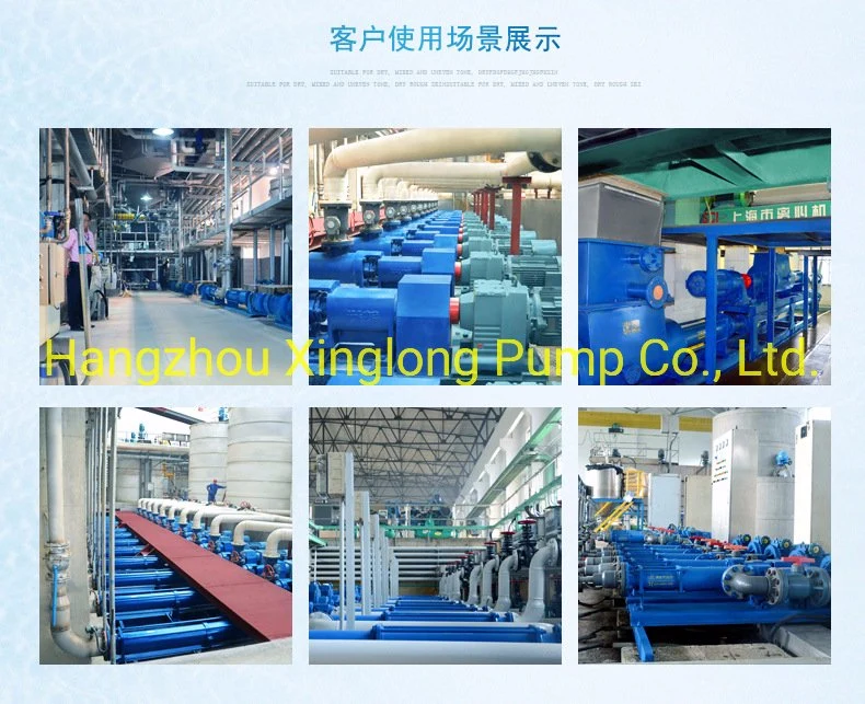 Factory Price OEM/ODM High Viscosity Sewage Slurry Transfer Single Screw Sludge Pump