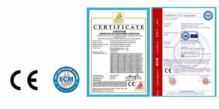 Air Operated Wastewater Treatment Plants Diaphragm Pump