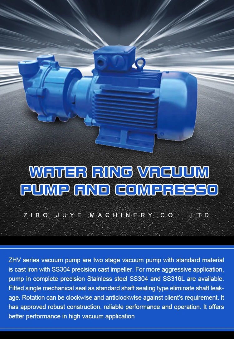 Single Stage Water Circulated Monoblock Pumps 2BV Water Liquid Ring Vacuum Pumps