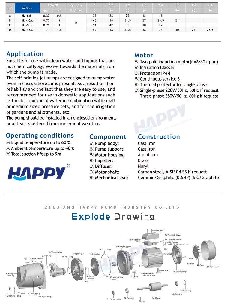 Stainless Steel Sewage Deep Well Irrigation Garden High Pressure Centrifugal Self-Priming Jet Electric Solar Surface Peripheral Automatic Submersible Water Pump